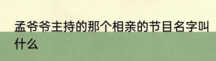 孟爷爷主持的那个相亲的节目名字叫什么