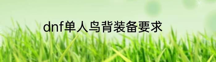 dnf单人鸟背装备要求