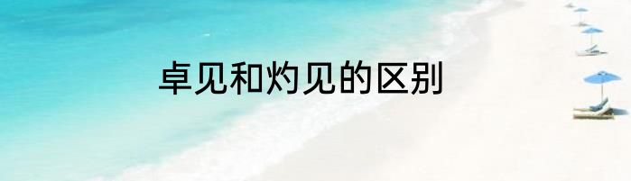 卓见和灼见的区别