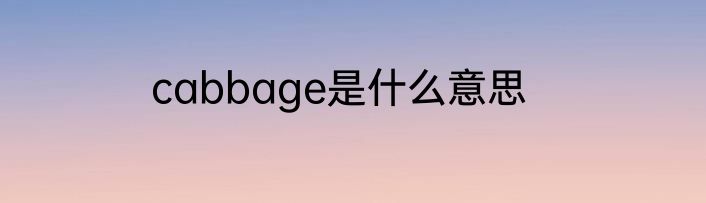 cabbage是什么意思