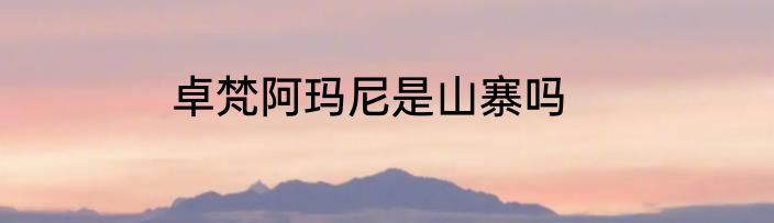 卓梵阿玛尼是山寨吗