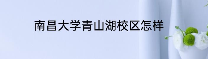 南昌大学青山湖校区怎样