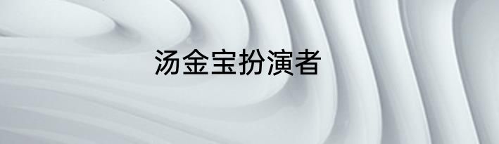 汤金宝扮演者