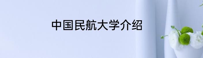 中国民航大学介绍