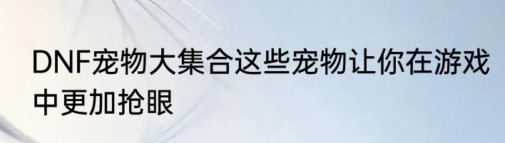 DNF宠物大集合这些宠物让你在游戏中更加抢眼