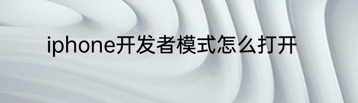 iphone开发者模式怎么打开
