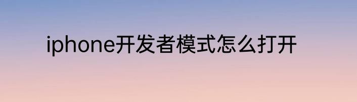 iphone开发者模式怎么打开