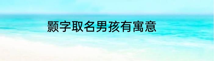 颢字取名男孩有寓意