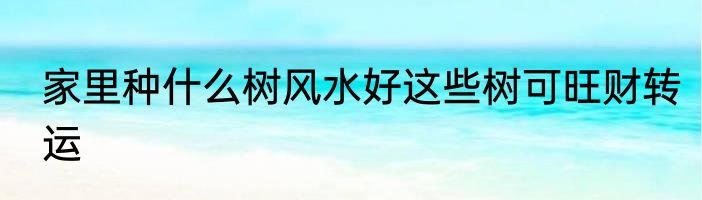 家里种什么树风水好这些树可旺财转运