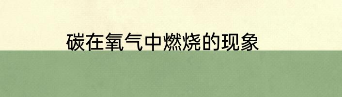 碳在氧气中燃烧的现象