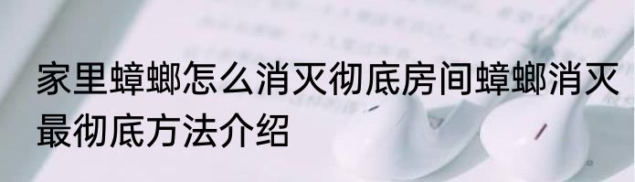 家里蟑螂怎么消灭彻底房间蟑螂消灭最彻底方法介绍