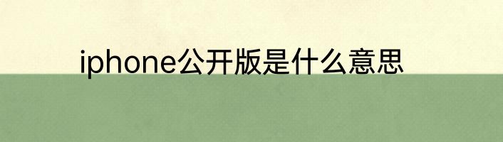 iphone公开版是什么意思