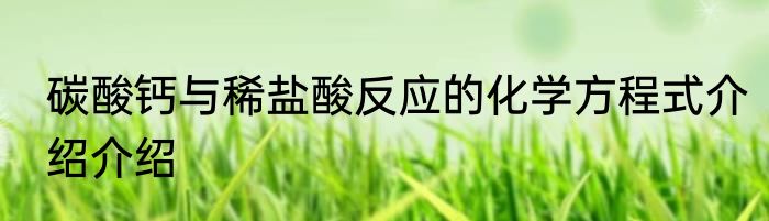 碳酸钙与稀盐酸反应的化学方程式介绍介绍