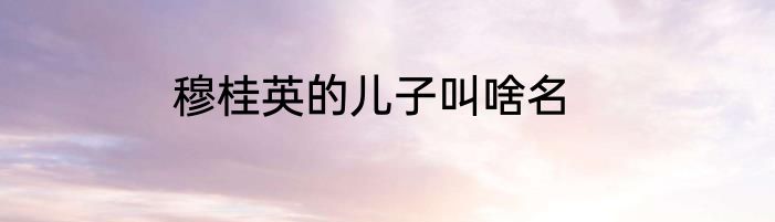 穆桂英的儿子叫啥名