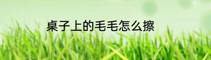 桌子上的毛毛怎么擦