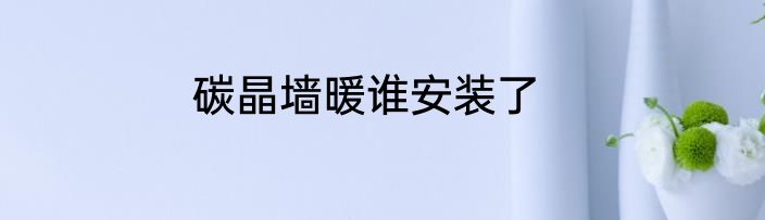 碳晶墙暖谁安装了