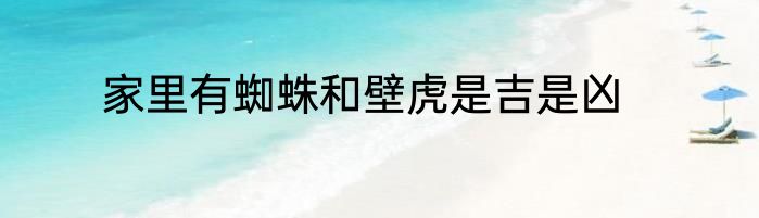 家里有蜘蛛和壁虎是吉是凶