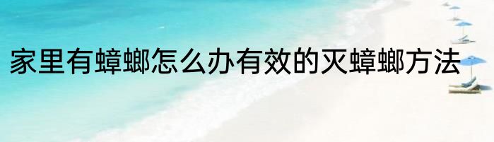家里有蟑螂怎么办有效的灭蟑螂方法