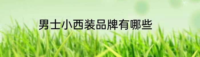 男士小西装品牌有哪些