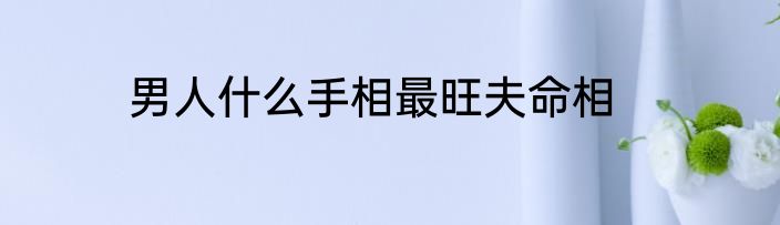 男人什么手相最旺夫命相