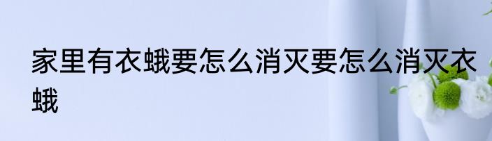 家里有衣蛾要怎么消灭要怎么消灭衣蛾