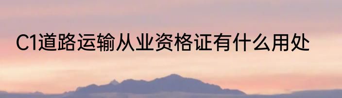 C1道路运输从业资格证有什么用处