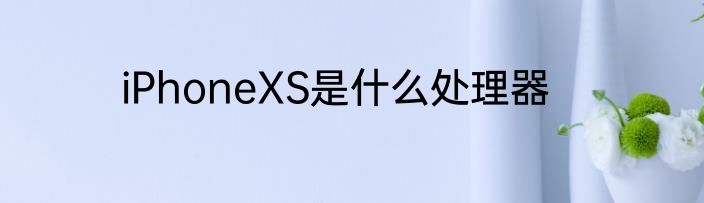 iPhoneXS是什么处理器