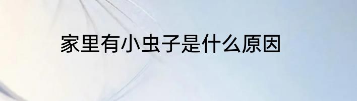 家里有小虫子是什么原因