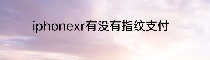 iphonexr有没有指纹支付