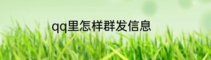 qq里怎样群发信息