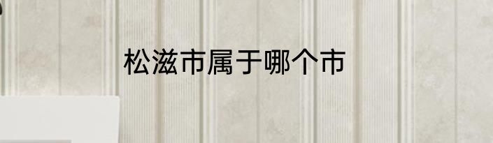 松滋市属于哪个市