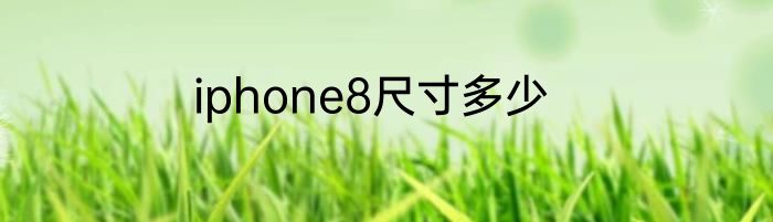 iphone8尺寸多少