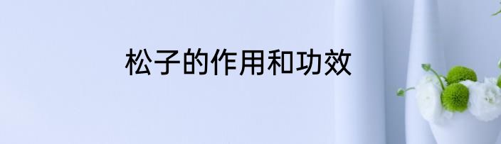 松子的作用和功效