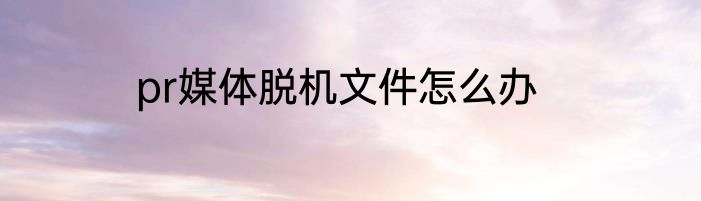 pr媒体脱机文件怎么办