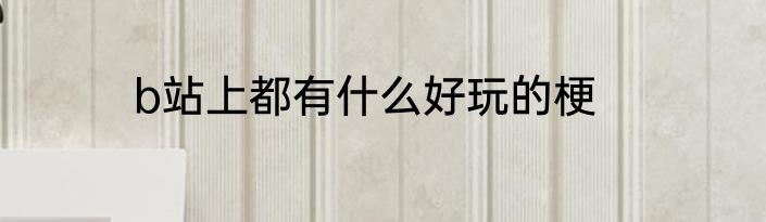 b站上都有什么好玩的梗