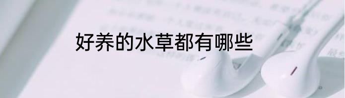 好养的水草都有哪些