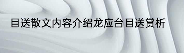 目送散文内容介绍龙应台目送赏析