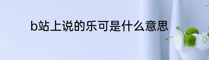 b站上说的乐可是什么意思