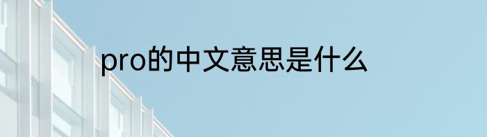 pro的中文意思是什么