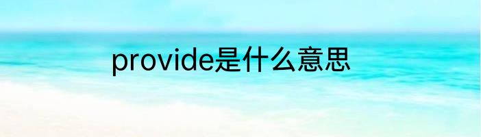 provide是什么意思