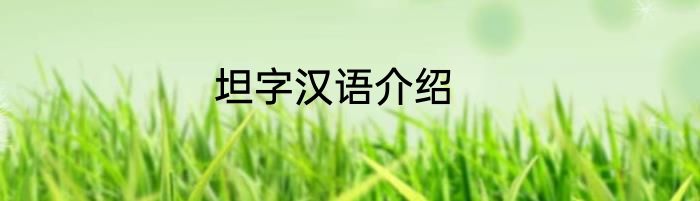 坦字汉语介绍