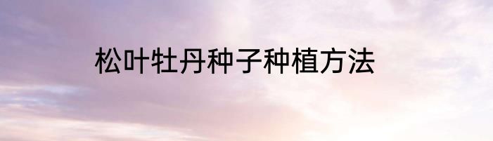 松叶牡丹种子种植方法