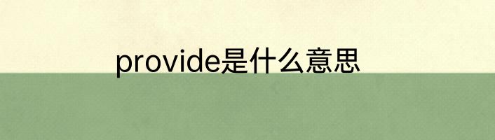 provide是什么意思