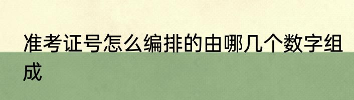准考证号怎么编排的由哪几个数字组成
