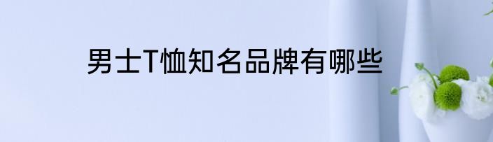 男士T恤知名品牌有哪些