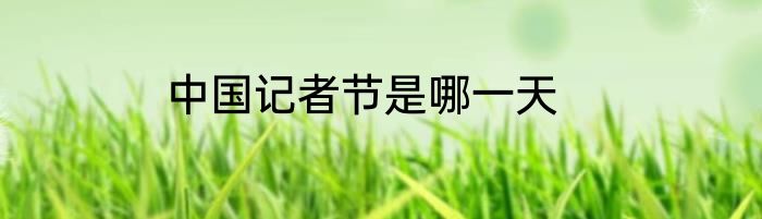 中国记者节是哪一天