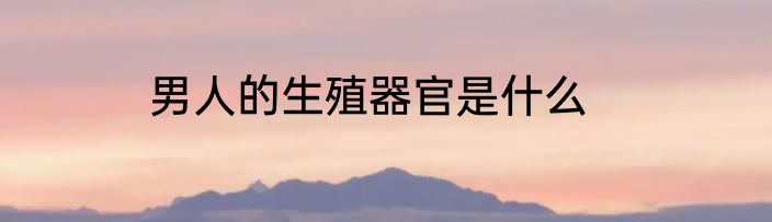 男人的生殖器官是什么