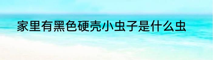 家里有黑色硬壳小虫子是什么虫