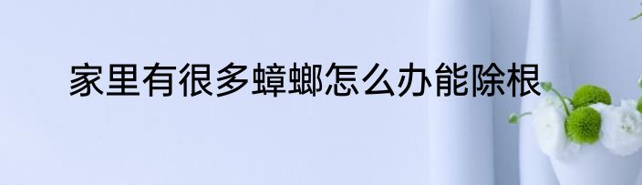 家里有很多蟑螂怎么办能除根