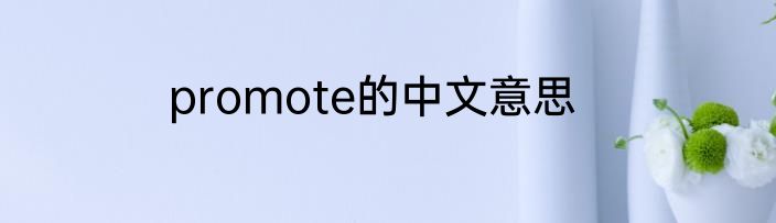 promote的中文意思